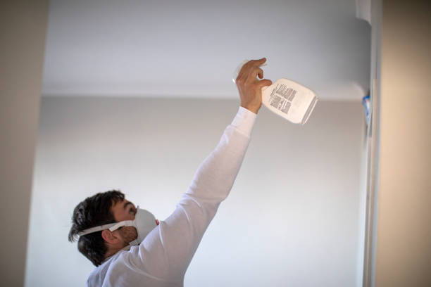 Best Residential Mold Removal  in Telford, PA