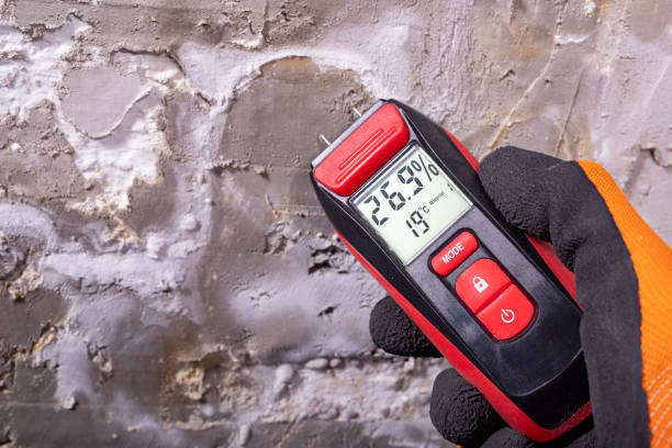 Best Mold Testing  in Telford, PA